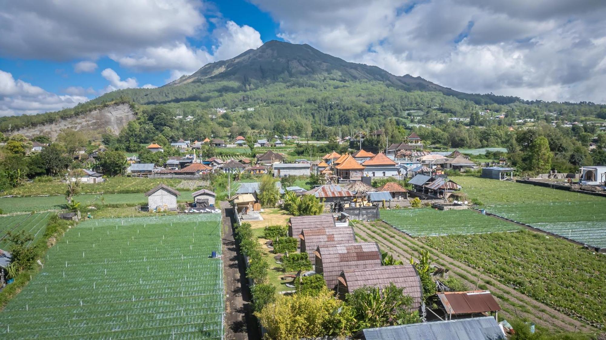 Tegal Bamboo Cottages & Private Hot Spring Baturaja  Dış mekan fotoğraf