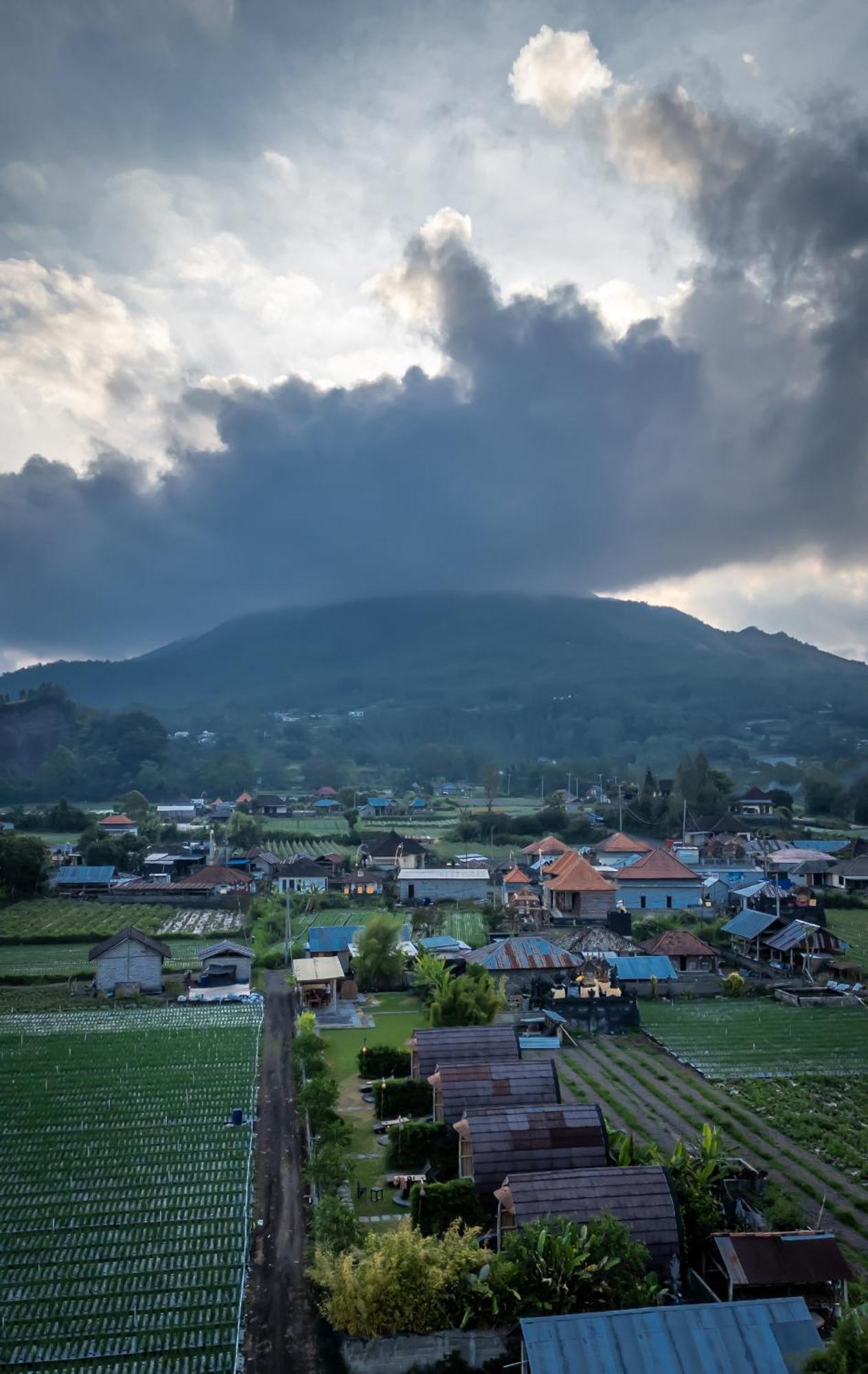 Tegal Bamboo Cottages & Private Hot Spring Baturaja  Dış mekan fotoğraf
