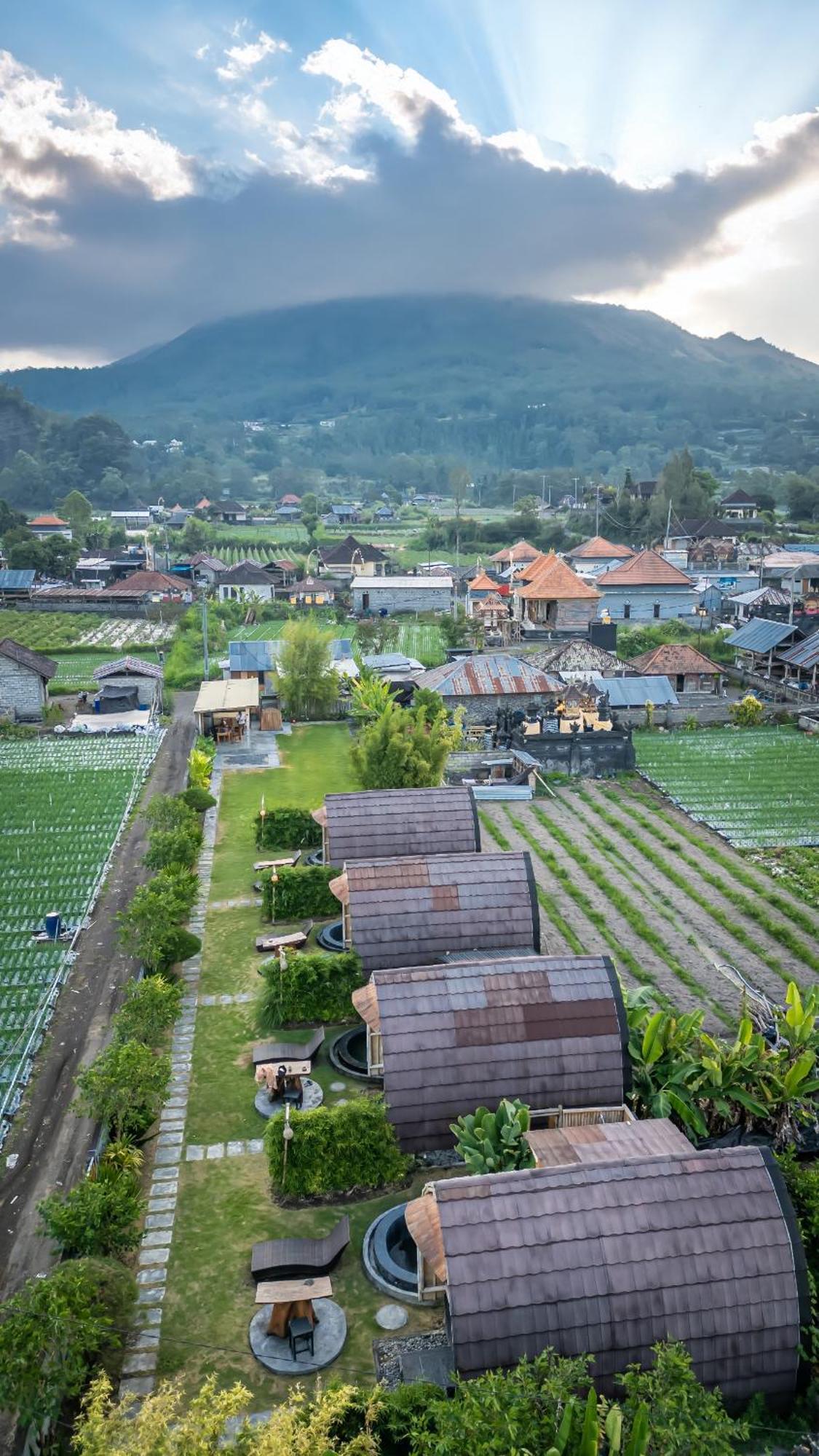 Tegal Bamboo Cottages & Private Hot Spring Baturaja  Dış mekan fotoğraf